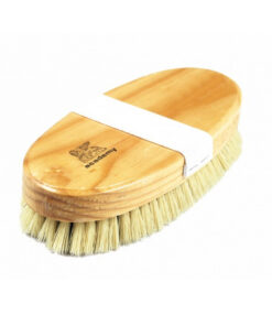 Floor Polishing Brush - Black Fibre - Coloured Border - Varnished Back with Elastic Strap - 23cm - Pack of 5 - F4401