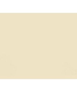 Lateral Document Files - Foolscap - Heavy Weight - 233gsm - Pack of 180 - FILLHW400