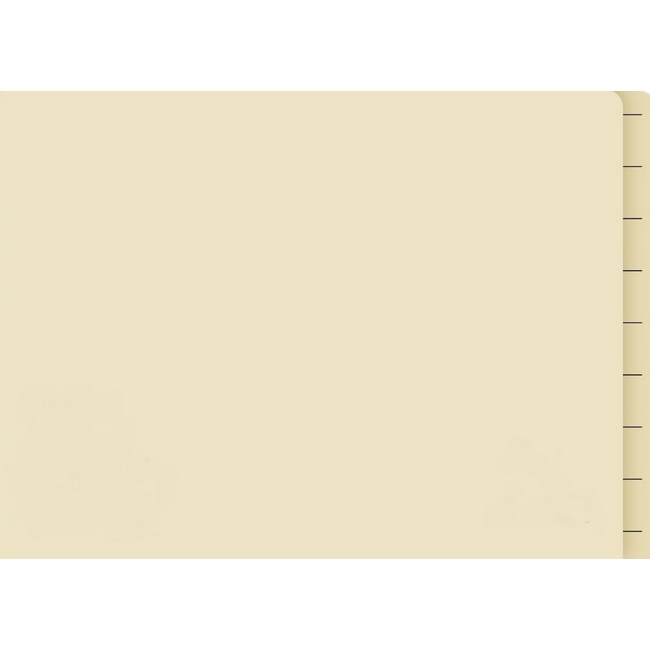 Lateral Document Files - Foolscap - Heavy Weight - 233gsm - Pack of 180 - FILLHW400