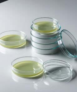 parafilm for petri dishes