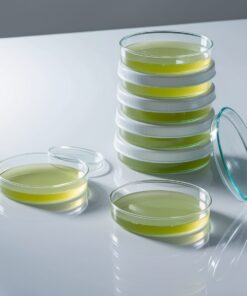 agar petri dish